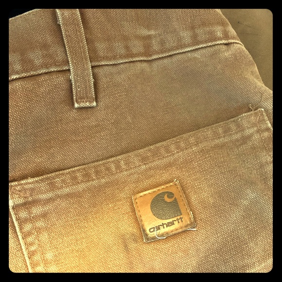 carhartt insulated pants b194